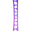 Jante arrière 19'' 47mm 32 trous noir, argent, violette| Rim rear 19'' 47mm 32 holes Black, Silver, Purple